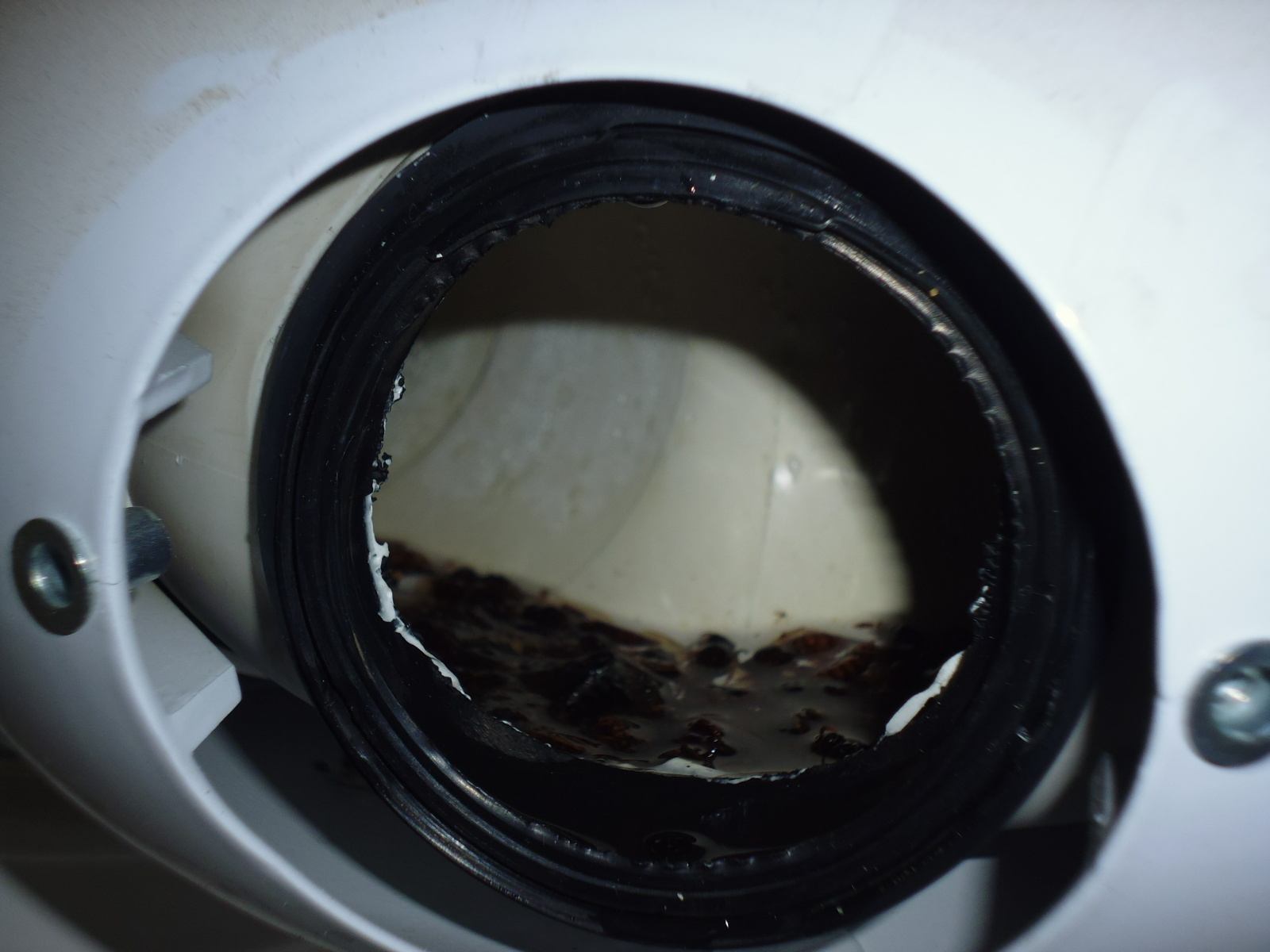 odkouření kondenzačního kotle při kontrole endoskopem - vosí hnízdo